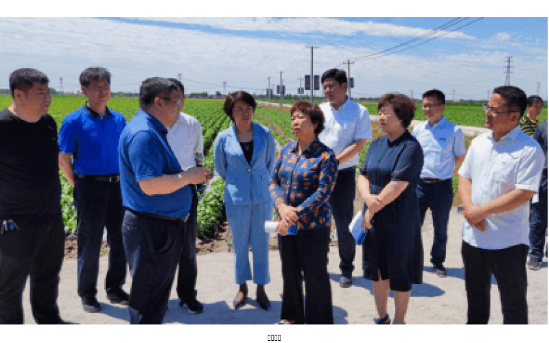 河北省農(nóng)業(yè)農(nóng)村廳等領導來我公司參觀檢查